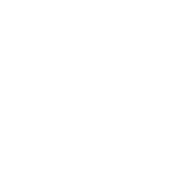 Perfect detail processing